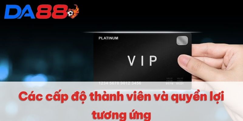 Đặc Quyền Vip Tại Nhà Cái DA88 - Sự Kiện Hấp Dẫn Nhất 2025 3 Các cấp độ thành viên và quyền lợi tương ứng