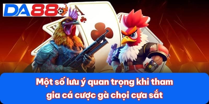 Đá Gà Cựa Sắt - Môn Thể Thao Kịch Tính, Đầy Chiến Lược 4 Một số lưu ý quan trọng khi tham gia cá cược gà chọi cựa sắt