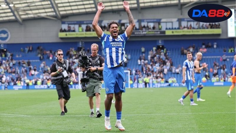 Soi kèo bóng đá Barnsley vs Brighton, 01h45 ngày 24/9, Brighton khó đỡ! 2 Thông tin lực Barnsley vs Brighton mới nhất
