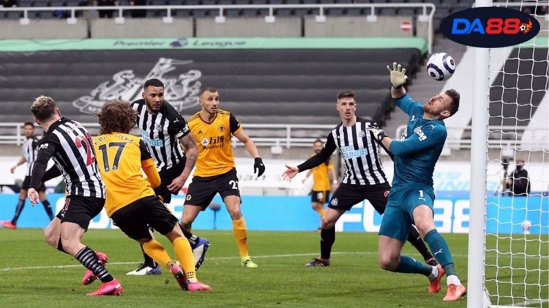 Soi kèo bóng đá Newcastle vs Wolves, 21h00 ngày 13/9, chích chòe thể hiện 2 Thông tin lực lượng Newcastle vs Wolves mới nhất
