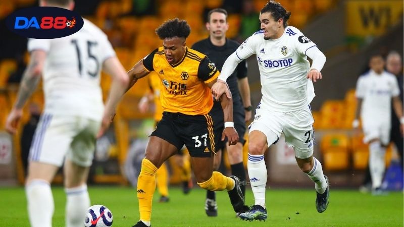 Soi kèo bóng đá Wolves vs Leeds, 21h00 ngày 20/9, ngang tài ngang sức 2 Thông tin lực lượng Wolves vs Leeds mới nhất